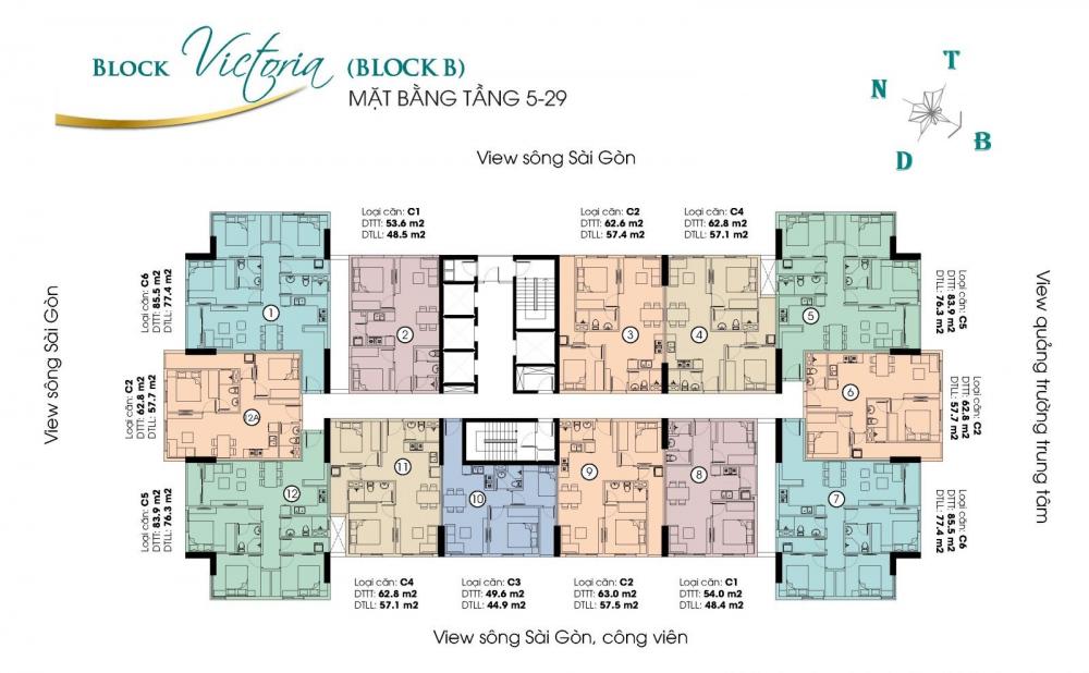 Tầng điển hình B