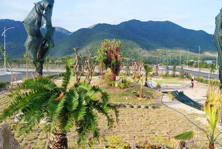 Công tác thi công lát gạch vỉa hè công viên đường D1 – khu D16, cấp phối đường N5 – Khu D16, Công viên cây xanh đường D4 – khu D16.