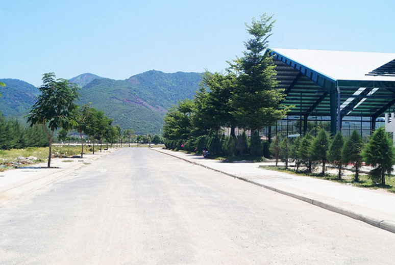 Đường D1 khu D17