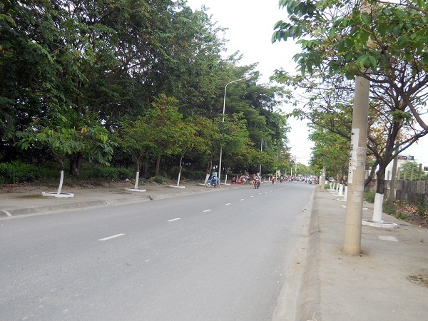 Hình ảnh thực tế dự án