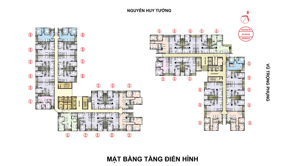 Tầng điển hình