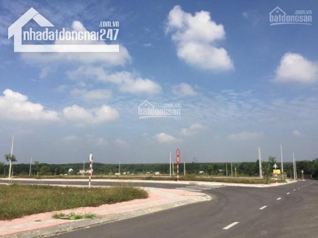 Hình ảnh thực tế dự án