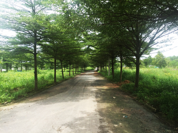 Hình ảnh thực tế dự án