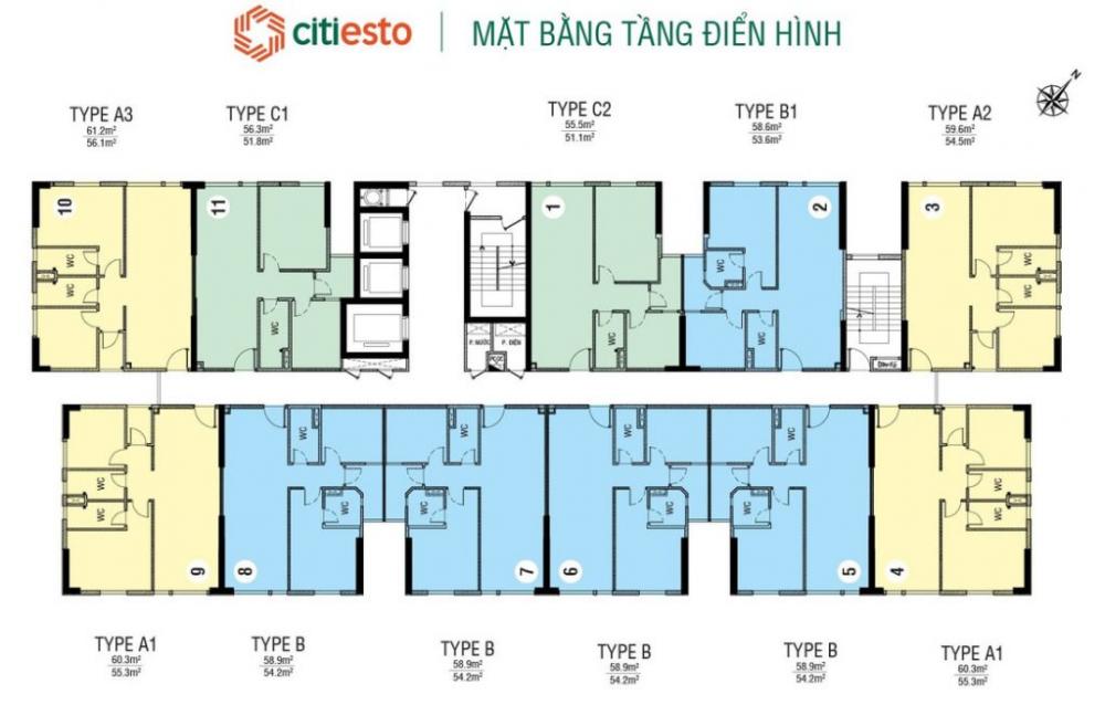 Tầng điển hình