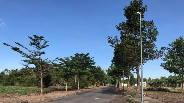 Hình ảnh thực tế dự án