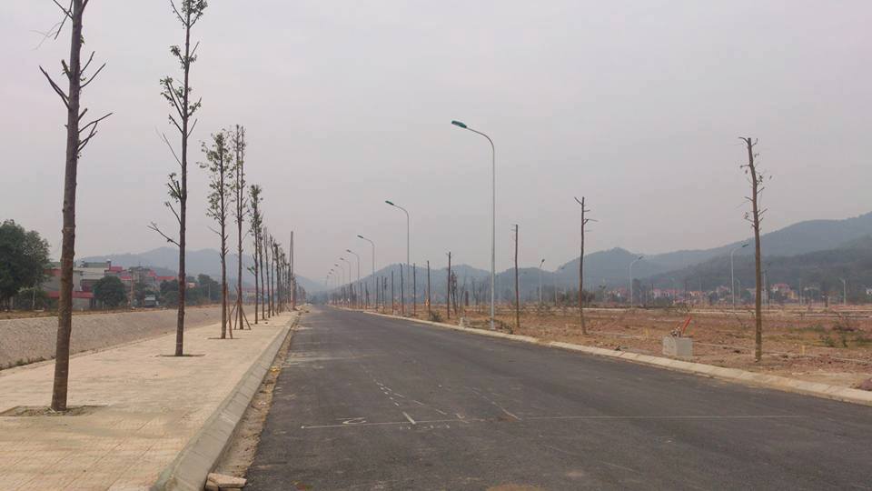 Hình ảnh thực tế dự án