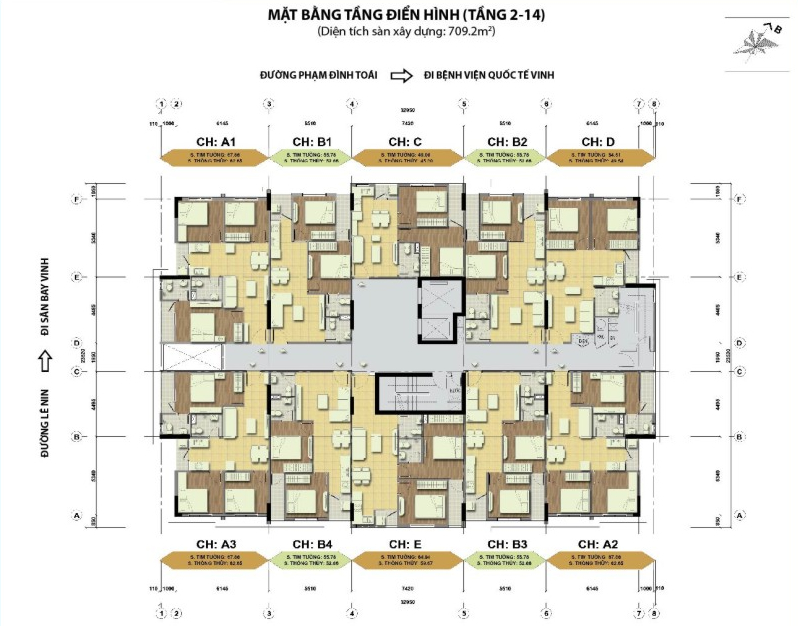 Tầng điển hình