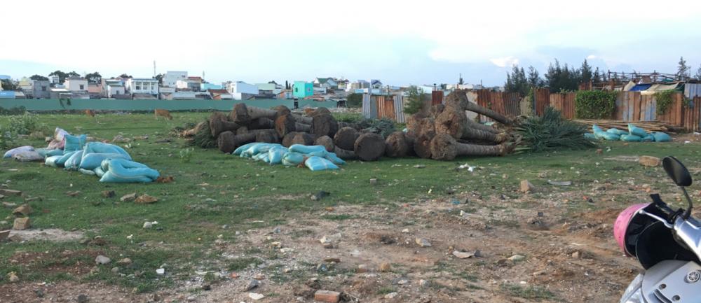 Dự án đang thi công hạ tầng