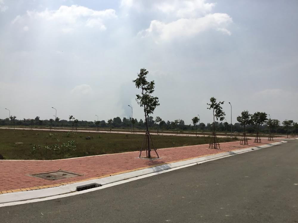 Dự án đang trong quá trình hoàn thiện