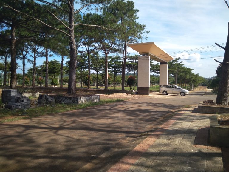 Hình ảnh thực tế dự án