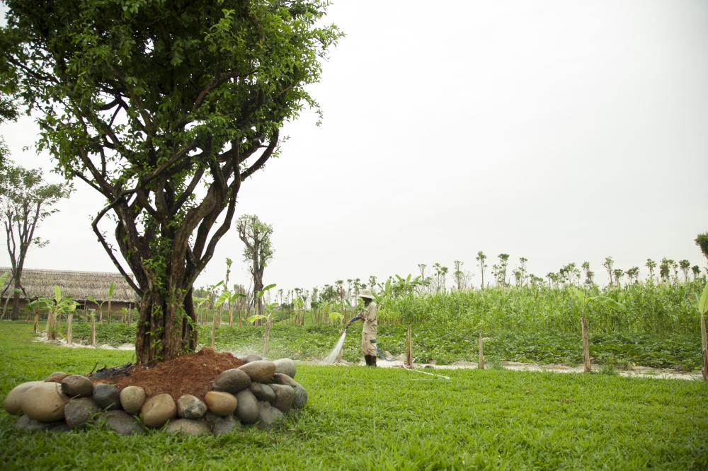 Hình ảnh thực tế dự án