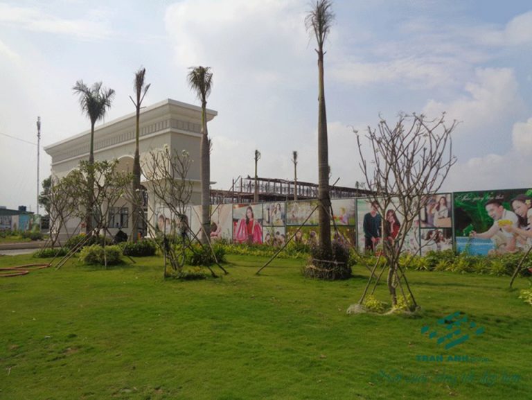 Dự án đang thi công phần thô