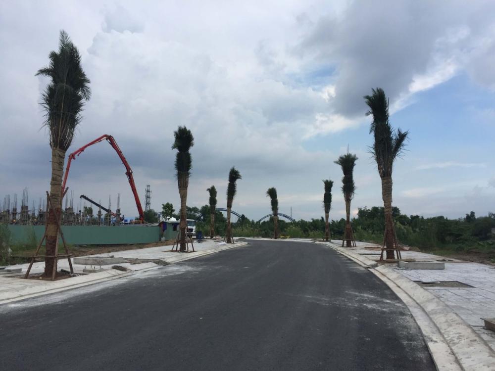 Hình ảnh thực tế dự án