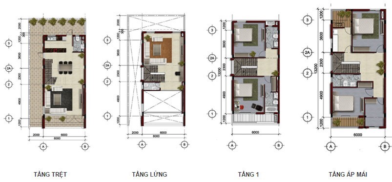 Tầng điển hình
