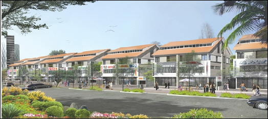 Tổng quan của Khu biệt thự phố kinh doanh Ngân Long | ảnh 1