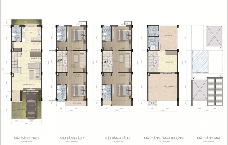 Tầng điển hình