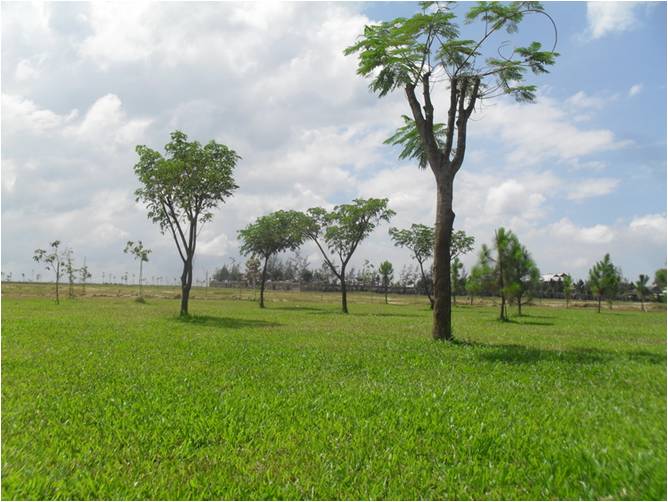 Cơ sở hạ tầng của dự án đã được hoàn thiện