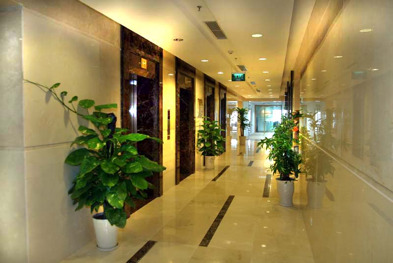 Văn phòng Capital Tower 3