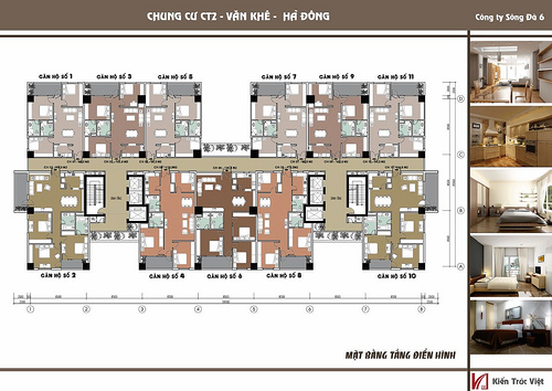 Tầng điển hình