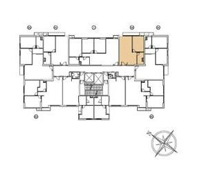 Tầng điển hình