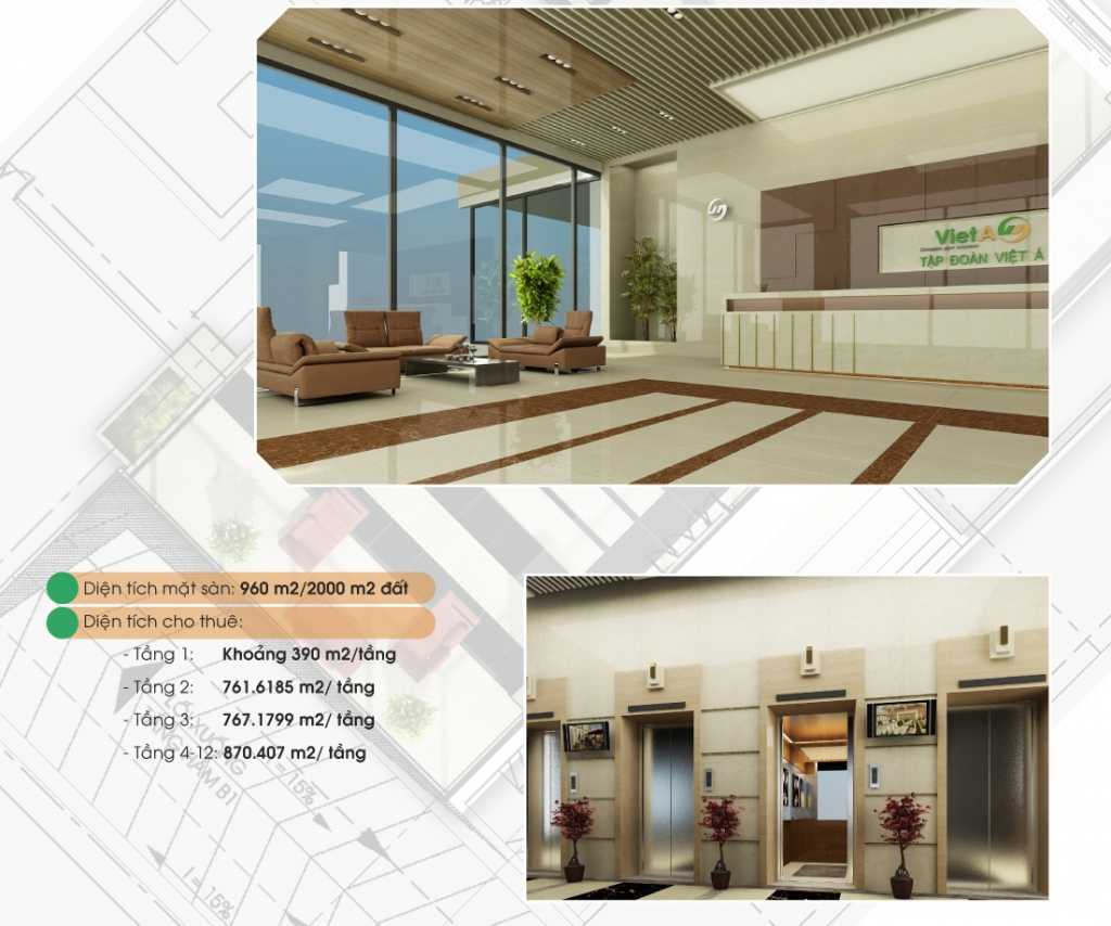 Văn phòng Việt Á 4