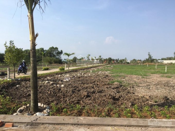 Hình ảnh thự tế dự án