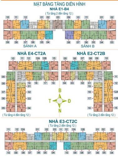 Tầng điển hình