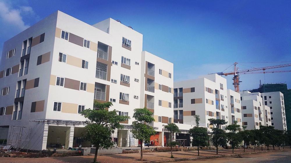 Dự án đang hoàn thiện nốt mặt ngoài