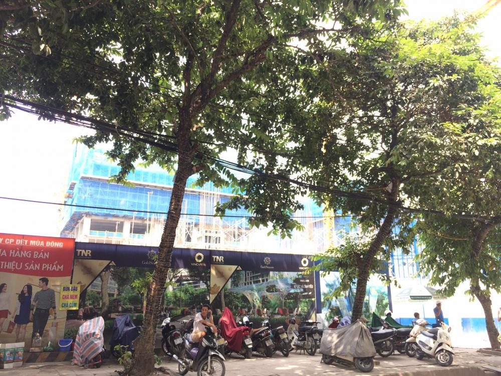 2 block bên ngoài đang xây các tầng đầu tiên, các block phía sau đã xây tầng 9