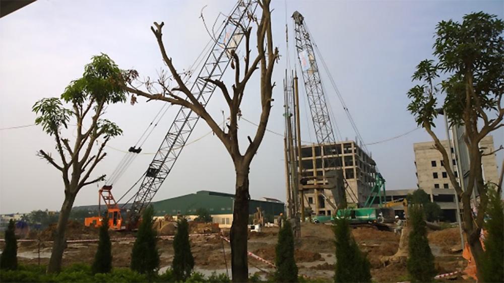 Dự án đã hoàn thiện khối đế, tầng hầm, đang gấp rút thi công các tầng nổi