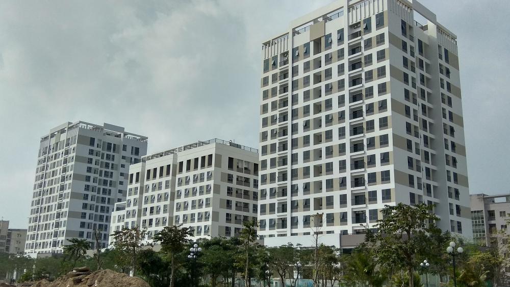 Dự án đã hoàn thiện