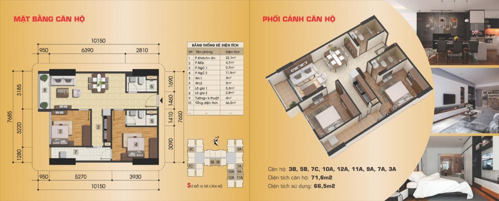 Thiết kế căn hộ 3B, 7C, 10A, 11A, 12A, 9A, 7A, 3A,3C