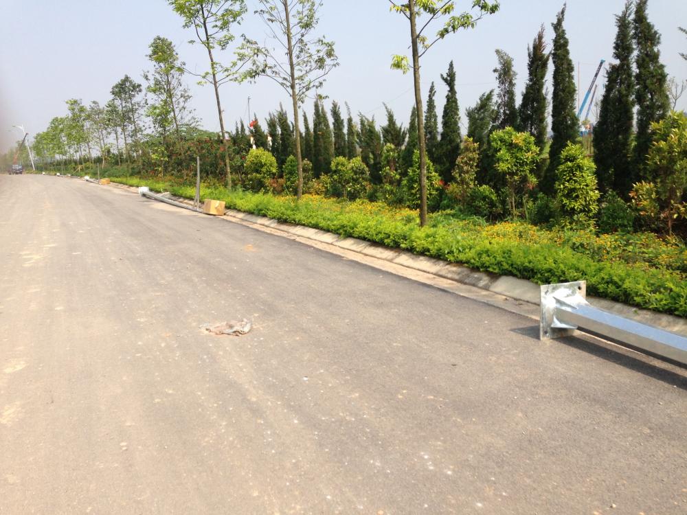 Dự án đang xây dựng phần thô