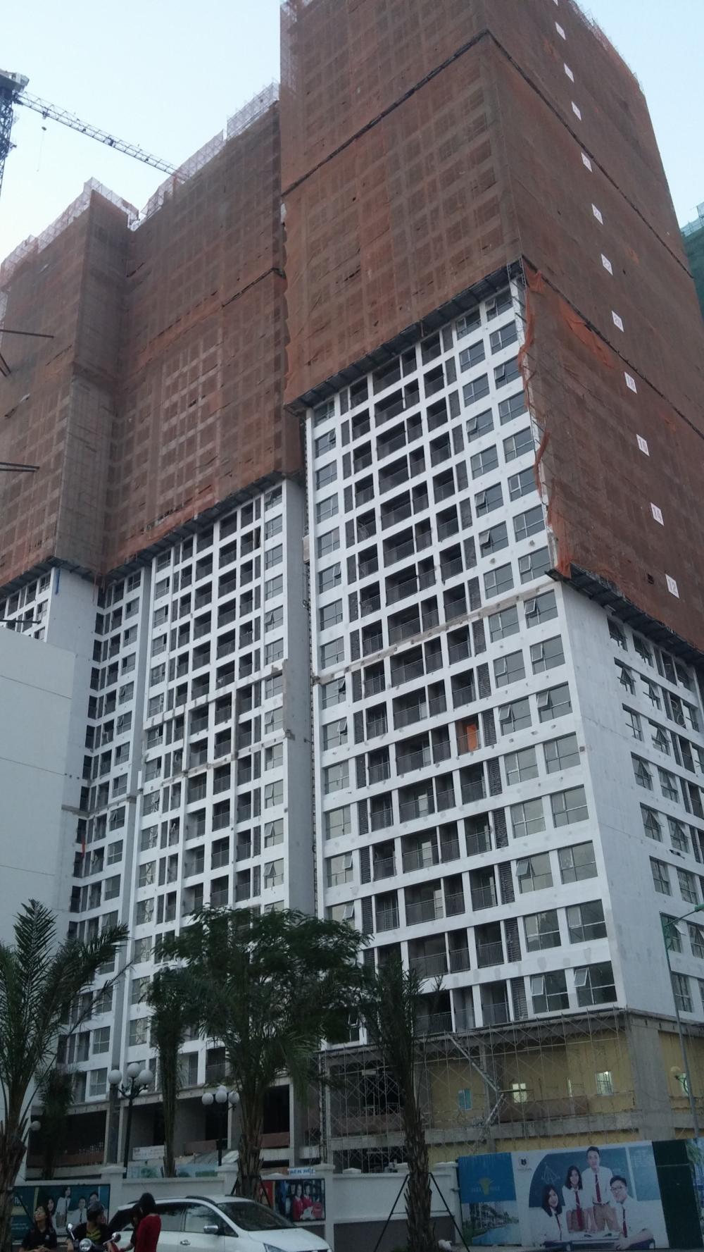 Dự án đang thi công mặt sàn tầng 34, sơn và lắp đặt cửa sổ mặt ngoài