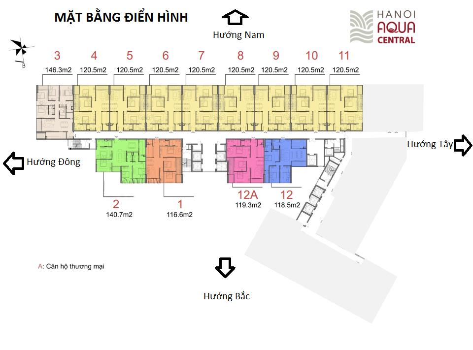 Tầng điển hình