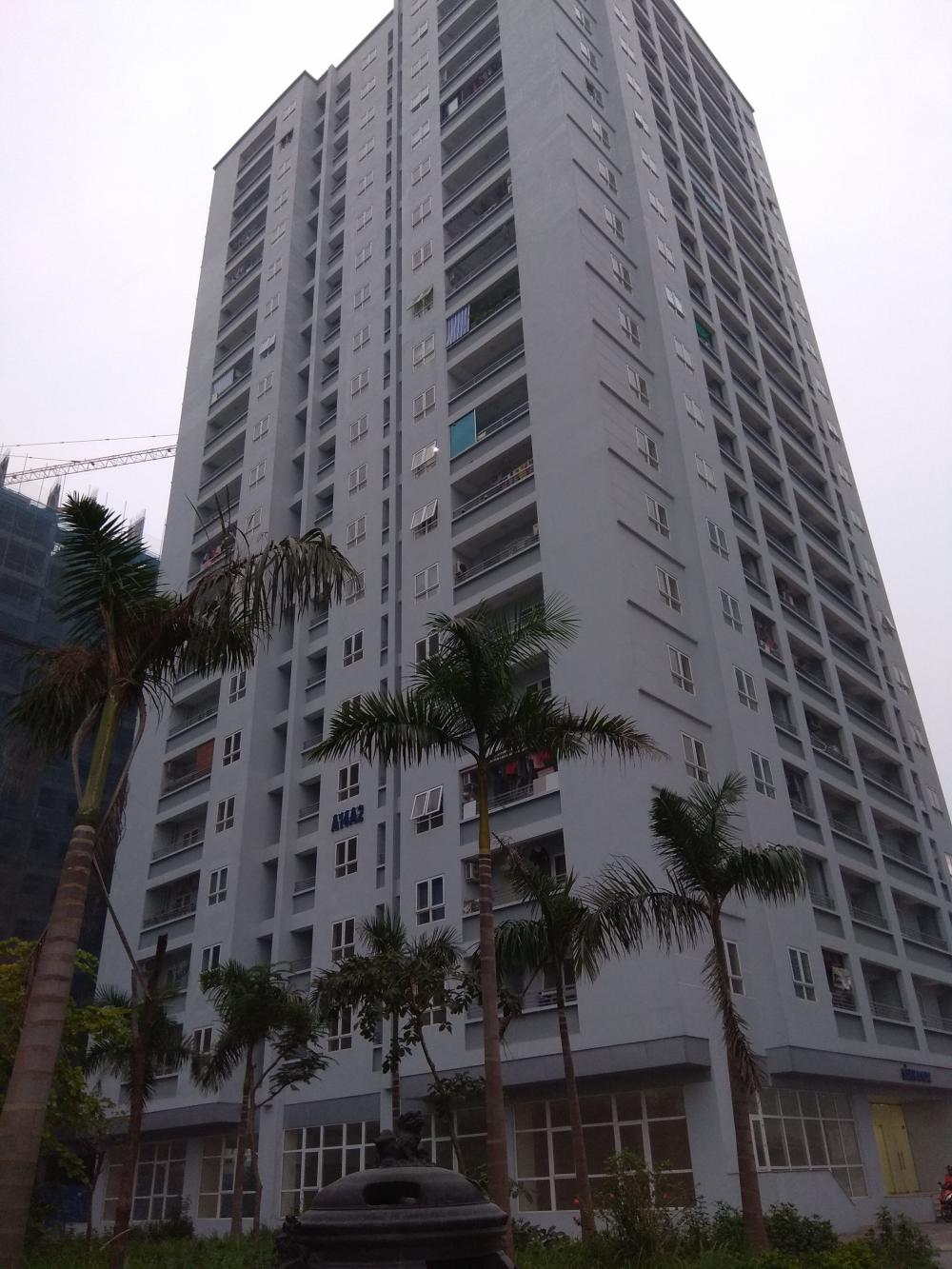 2 tòa A14 A1 và A14 A2 đã đưa vào sử dụng