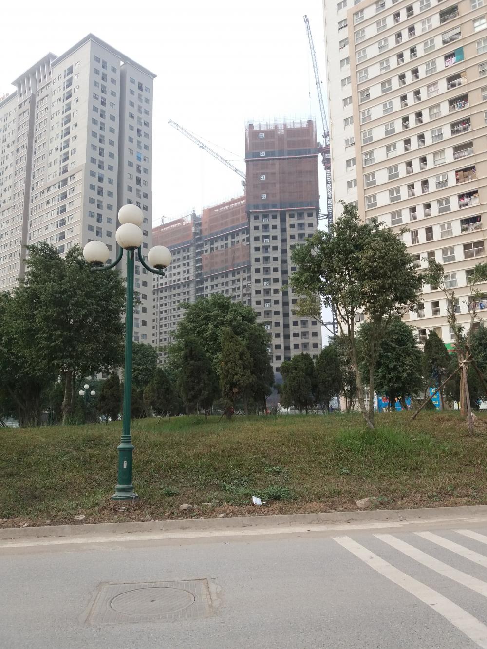 Tòa đã hoàn thiện và có người ở, tòa chuẩn bị cất nóc