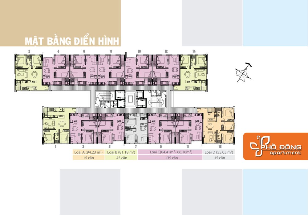 Tầng điển hình