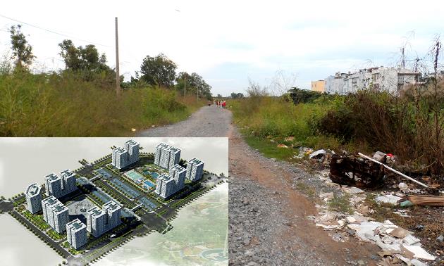 Hình ảnh thực tế dự án