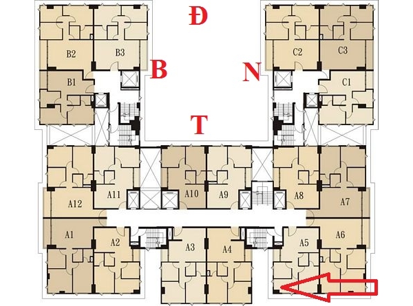 Tầng điển hình