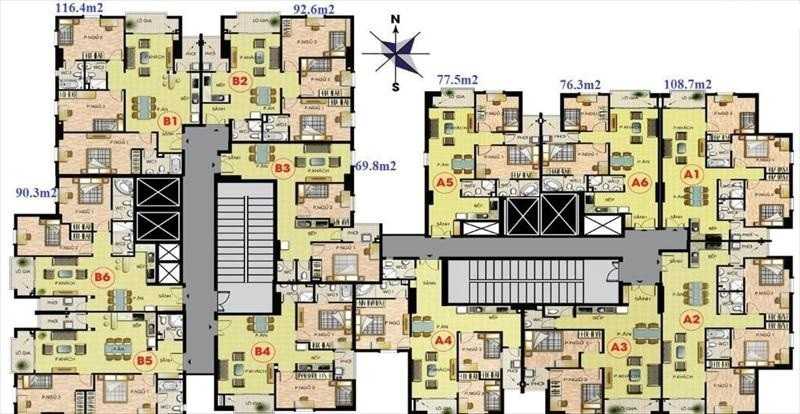 Tầng điển hình