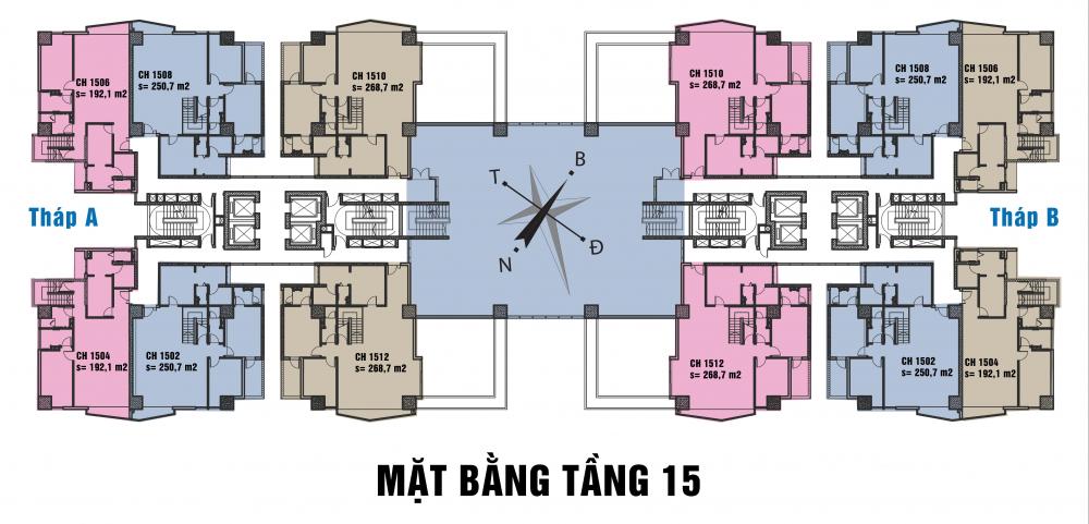 Tầng điển hình