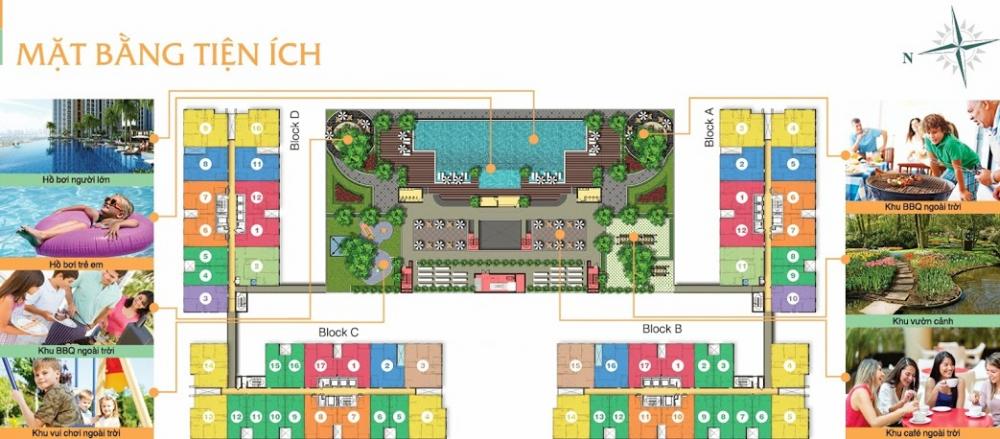 Tầng điển hình