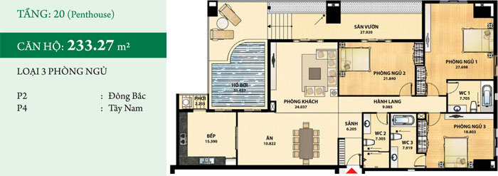 Thiết kế căn hộ P2, P4