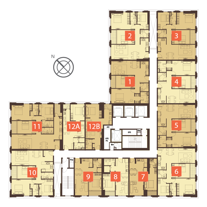 Tầng điển hình