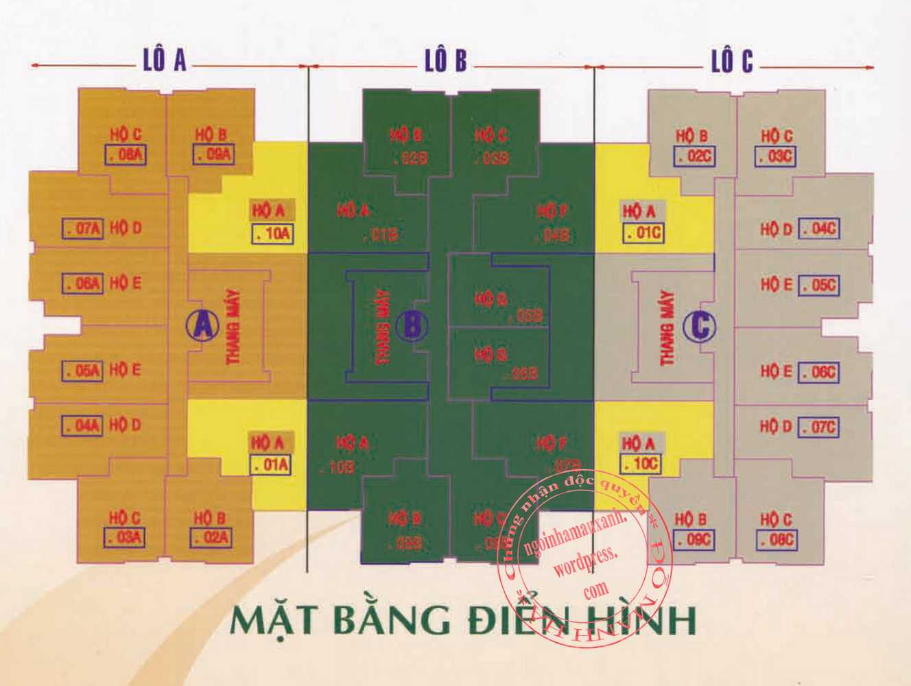 Tầng điển hình