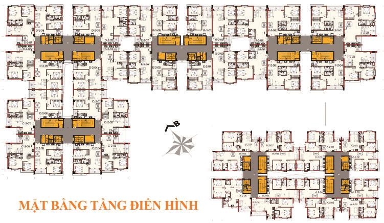 Mặt bằng tầng điển hình