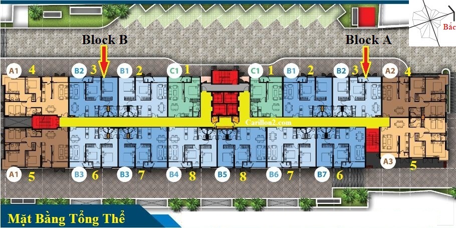 Tầng điển hình