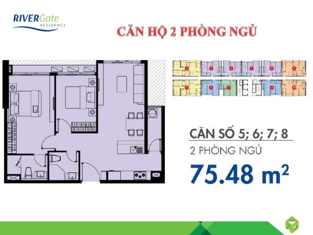 Thiết kế căn hộ 05, 06, 07, 08