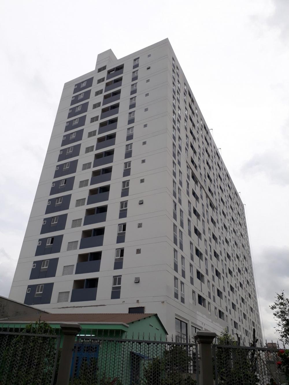 Dự án đang hoàn thiện sơn mặt ngoài